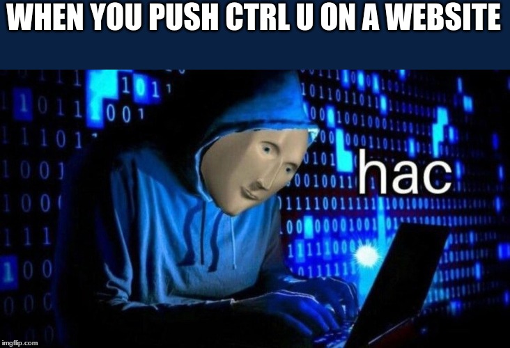 WHEN YOU PUSH CTRL U ON A WEBSITE | image tagged in hacking | made w/ Imgflip meme maker