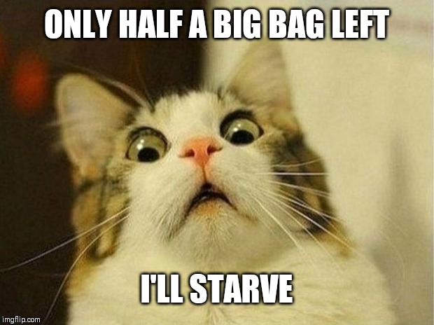 Scared Cat Meme | ONLY HALF A BIG BAG LEFT; I'LL STARVE | image tagged in memes,scared cat | made w/ Imgflip meme maker