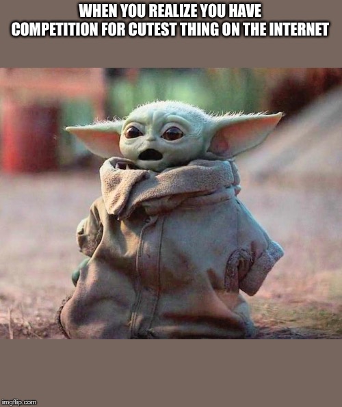 Surprised Baby Yoda | WHEN YOU REALIZE YOU HAVE COMPETITION FOR CUTEST THING ON THE INTERNET | image tagged in surprised baby yoda | made w/ Imgflip meme maker