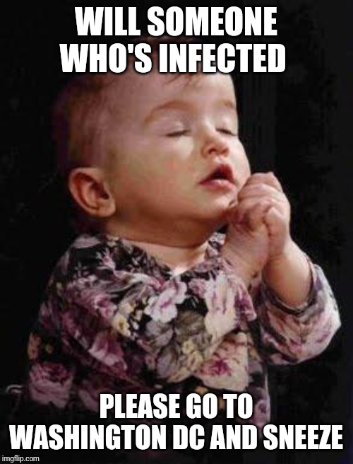 Baby Praying | WILL SOMEONE WHO'S INFECTED; PLEASE GO TO WASHINGTON DC AND SNEEZE | image tagged in baby praying | made w/ Imgflip meme maker