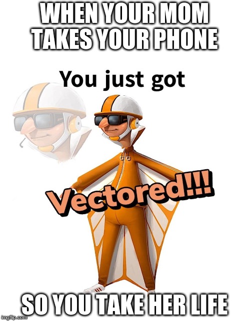 WHEN YOUR MOM TAKES YOUR PHONE; SO YOU TAKE HER LIFE | image tagged in you just got vectored | made w/ Imgflip meme maker