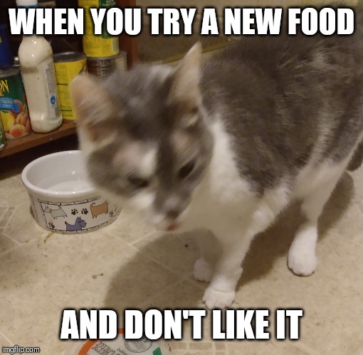 New food | WHEN YOU TRY A NEW FOOD; AND DON'T LIKE IT | image tagged in new food | made w/ Imgflip meme maker