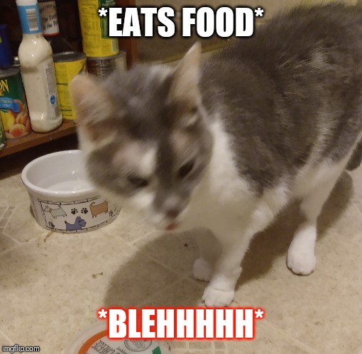 New food | *EATS FOOD*; *BLEHHHHH* | image tagged in new food | made w/ Imgflip meme maker