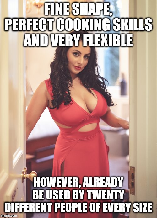 Sexy Red Dress | FINE SHAPE, PERFECT COOKING SKILLS AND VERY FLEXIBLE HOWEVER, ALREADY BE USED BY TWENTY DIFFERENT PEOPLE OF EVERY SIZE | image tagged in sexy red dress | made w/ Imgflip meme maker