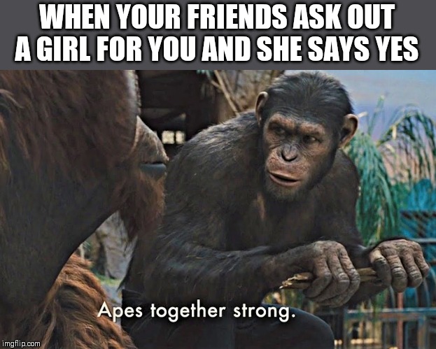 Apes Together Strong | WHEN YOUR FRIENDS ASK OUT A GIRL FOR YOU AND SHE SAYS YES | image tagged in apes together strong | made w/ Imgflip meme maker