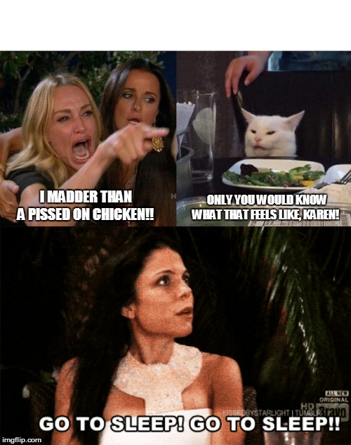 ONLY YOU WOULD KNOW WHAT THAT FEELS LIKE, KAREN! I MADDER THAN A PISSED ON CHICKEN!! | image tagged in memes,woman yelling at cat | made w/ Imgflip meme maker