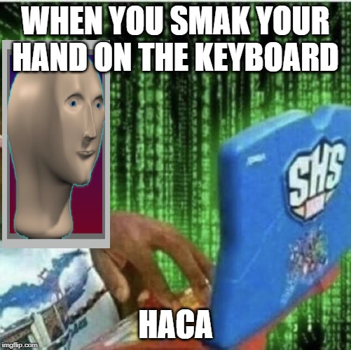 Ryan Beckford | WHEN YOU SMAK YOUR HAND ON THE KEYBOARD; HACA | image tagged in ryan beckford | made w/ Imgflip meme maker