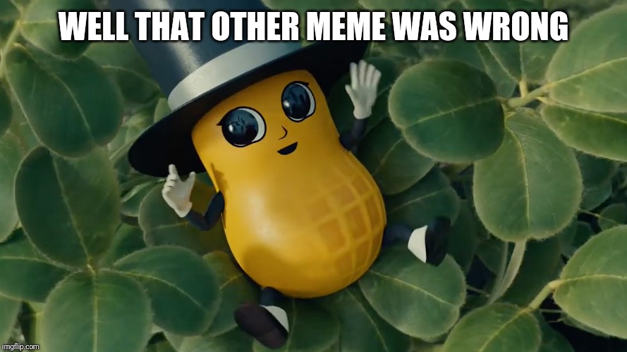 Baby Mr Peanut | WELL THAT OTHER MEME WAS WRONG | image tagged in baby mr peanut | made w/ Imgflip meme maker