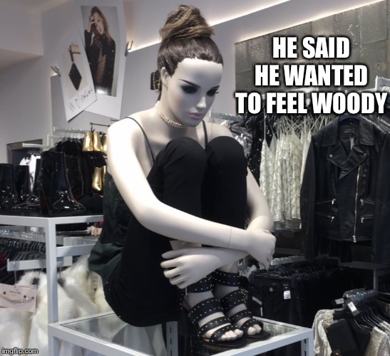 Depressed mannequen | HE SAID HE WANTED TO FEEL WOODY | image tagged in depressed mannequen | made w/ Imgflip meme maker