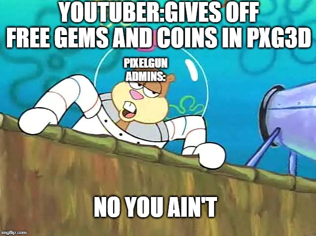 No you aint | YOUTUBER:GIVES OFF FREE GEMS AND COINS IN PXG3D; PIXELGUN ADMINS:; NO YOU AIN'T | image tagged in no you aint | made w/ Imgflip meme maker