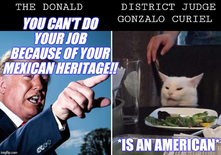 Trump yelling at cat | THE DONALD DISTRICT JUDGE GONZALO CURIEL YOU CAN'T DO YOUR JOB BECAUSE OF YOUR MEXICAN HERITAGE!! *IS AN AMERICAN* | image tagged in trump yelling at cat | made w/ Imgflip meme maker