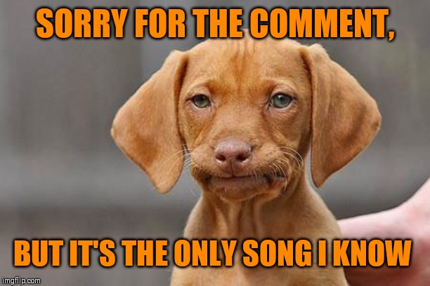 Dissapointed puppy | SORRY FOR THE COMMENT, BUT IT'S THE ONLY SONG I KNOW | image tagged in dissapointed puppy | made w/ Imgflip meme maker