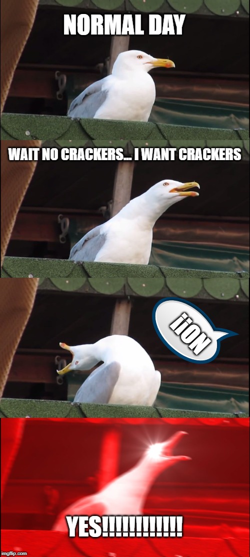 Inhaling Seagull Meme | NORMAL DAY; WAIT NO CRACKERS... I WANT CRACKERS; NO!! YES!!!!!!!!!!!! | image tagged in memes,inhaling seagull | made w/ Imgflip meme maker
