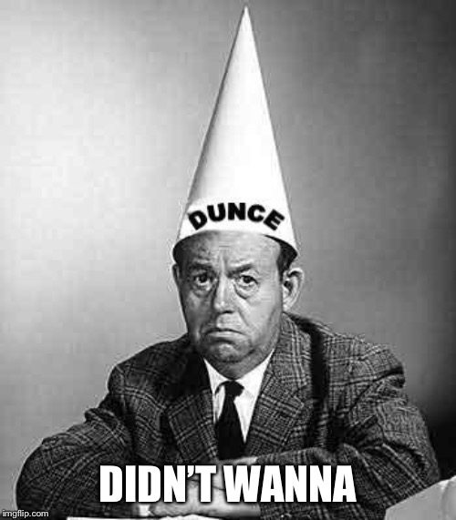 Dunce | DIDN’T WANNA | image tagged in dunce | made w/ Imgflip meme maker