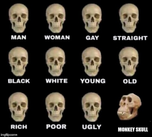 idiot skull | MONKEY SKULL | image tagged in idiot skull | made w/ Imgflip meme maker