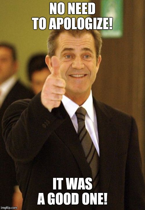 Mel Gibson Approves | NO NEED TO APOLOGIZE! IT WAS A GOOD ONE! | image tagged in mel gibson approves | made w/ Imgflip meme maker