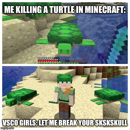 ME KILLING A TURTLE IN MINECRAFT:; VSCO GIRLS: LET ME BREAK YOUR SKSKSKULL | image tagged in turtle,minecraft,vsco | made w/ Imgflip meme maker