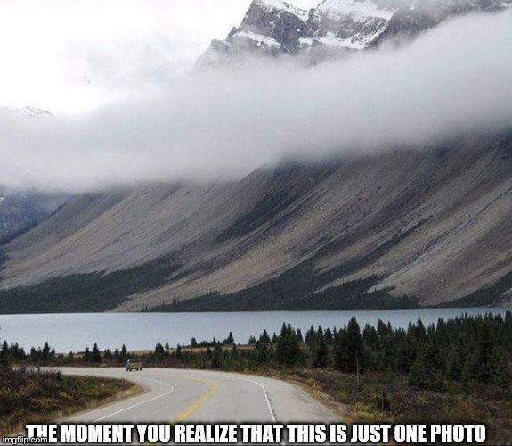 One Pic | THE MOMENT YOU REALIZE THAT THIS IS JUST ONE PHOTO | image tagged in optical illusion | made w/ Imgflip meme maker