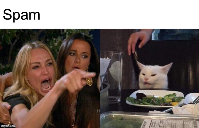 Woman Yelling At Cat | Spam | image tagged in memes,woman yelling at cat | made w/ Imgflip meme maker