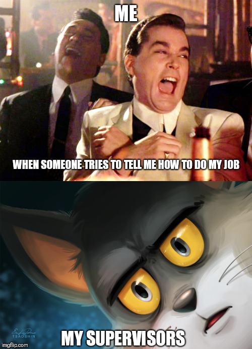 All in a day's work. |  ME; WHEN SOMEONE TRIES TO TELL ME HOW TO DO MY JOB; MY SUPERVISORS | image tagged in memes,good fellas hilarious,unsettled tom stylized | made w/ Imgflip meme maker