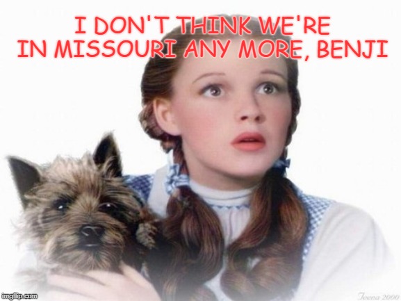 Dorothy and Toto | I DON'T THINK WE'RE IN MISSOURI ANY MORE, BENJI | image tagged in dorothy and toto | made w/ Imgflip meme maker