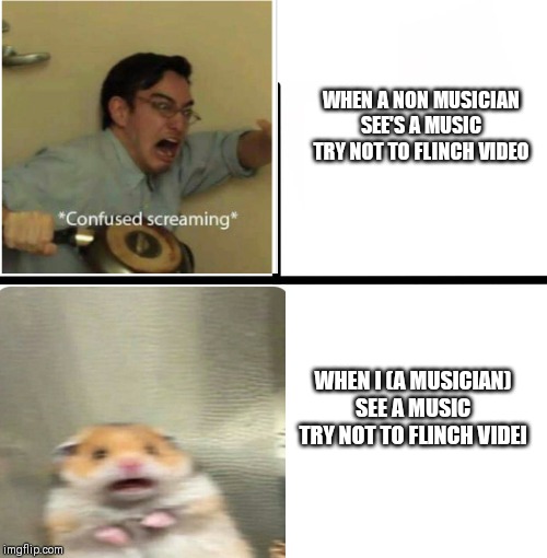 What Are You? Musician or Not? | WHEN A NON MUSICIAN SEE'S A MUSIC TRY NOT TO FLINCH VIDEO; WHEN I (A MUSICIAN) SEE A MUSIC TRY NOT TO FLINCH VIDEI | image tagged in music,confused screaming,scream | made w/ Imgflip meme maker
