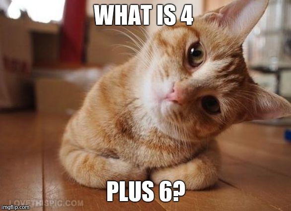I present to you a math riddle. | WHAT IS 4; PLUS 6? | image tagged in curious question cat,deep thoughts,complexity | made w/ Imgflip meme maker