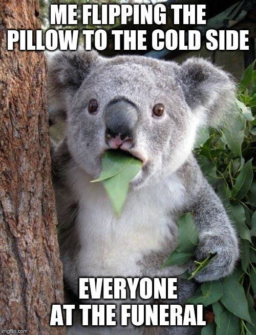 Suprised Koala | ME FLIPPING THE PILLOW TO THE COLD SIDE; EVERYONE AT THE FUNERAL | image tagged in suprised koala | made w/ Imgflip meme maker