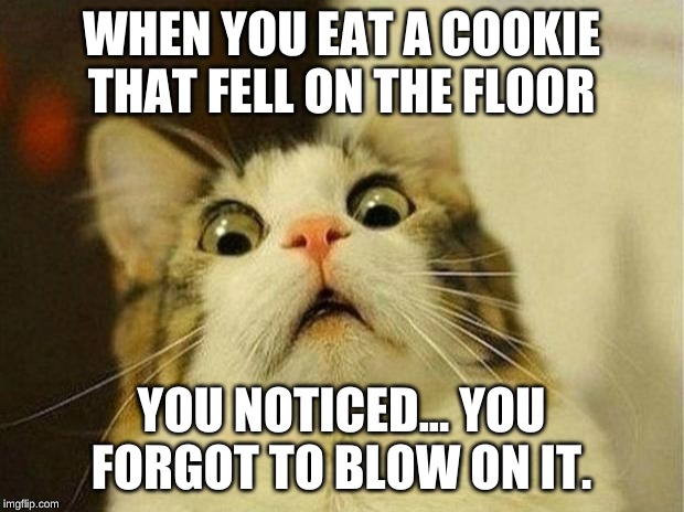 Scared Cat | WHEN YOU EAT A COOKIE THAT FELL ON THE FLOOR; YOU NOTICED... YOU FORGOT TO BLOW ON IT. | image tagged in memes,scared cat | made w/ Imgflip meme maker