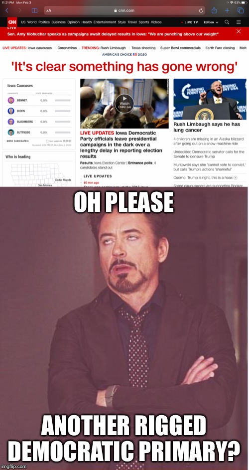 OH PLEASE; ANOTHER RIGGED DEMOCRATIC PRIMARY? | image tagged in memes,face you make robert downey jr | made w/ Imgflip meme maker