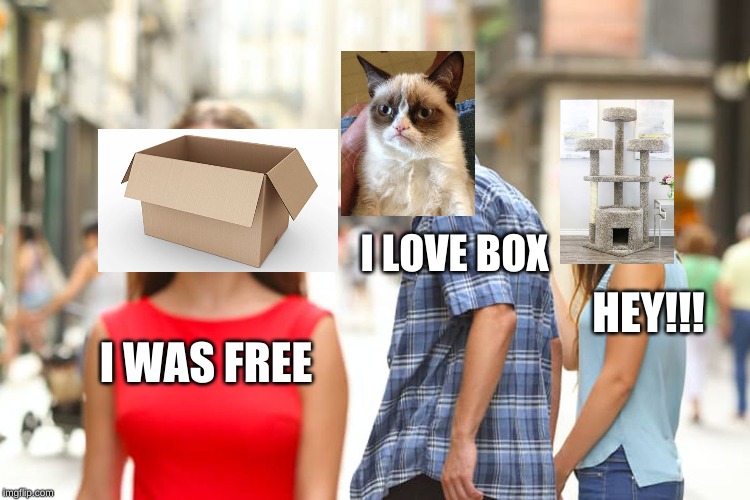 Distracted Boyfriend | I LOVE BOX; HEY!!! I WAS FREE | image tagged in memes,distracted boyfriend | made w/ Imgflip meme maker
