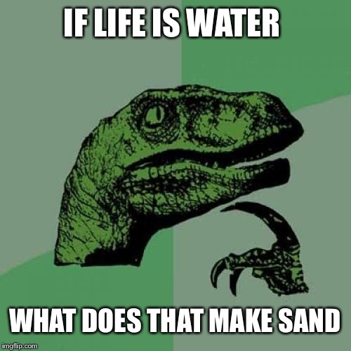 Philosoraptor Meme | IF LIFE IS WATER; WHAT DOES THAT MAKE SAND | image tagged in memes,philosoraptor | made w/ Imgflip meme maker