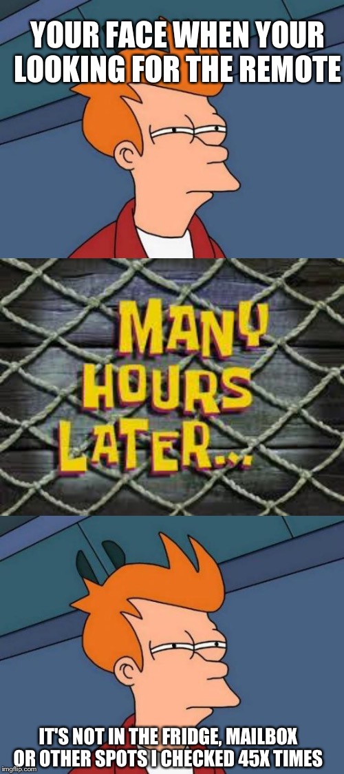 YOUR FACE WHEN YOUR LOOKING FOR THE REMOTE; IT'S NOT IN THE FRIDGE, MAILBOX OR OTHER SPOTS I CHECKED 45X TIMES | image tagged in memes,futurama fry,many hours later | made w/ Imgflip meme maker
