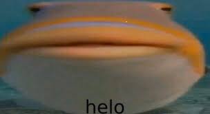 Fish Helo Blank Meme Template