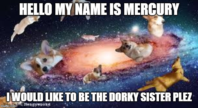 HELLO MY NAME IS MERCURY; I WOULD LIKE TO BE THE DORKY SISTER PLEZ | made w/ Imgflip meme maker
