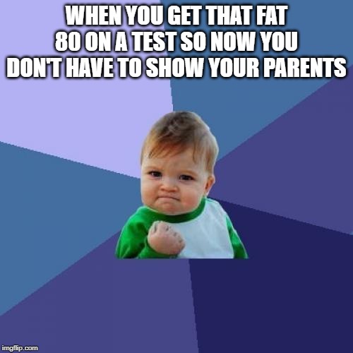 Success Kid Meme | WHEN YOU GET THAT FAT 80 ON A TEST SO NOW YOU DON'T HAVE TO SHOW YOUR PARENTS | image tagged in memes,success kid | made w/ Imgflip meme maker