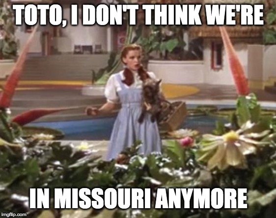 Toto, I don't think we're in the six anymore... | TOTO, I DON'T THINK WE'RE; IN MISSOURI ANYMORE | image tagged in toto i don't think we're in the six anymore | made w/ Imgflip meme maker