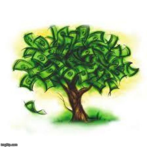 money tree | image tagged in money tree | made w/ Imgflip meme maker