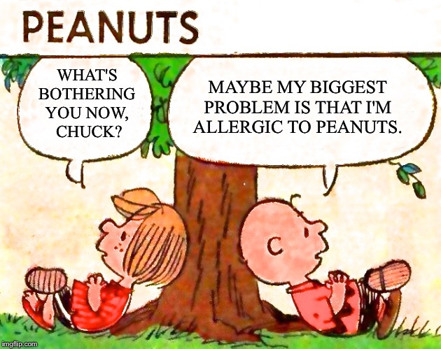Peanuts Charlie Brown Peppermint Patty | MAYBE MY BIGGEST PROBLEM IS THAT I'M ALLERGIC TO PEANUTS. WHAT'S 
BOTHERING 
YOU NOW, 
CHUCK? | image tagged in peanuts charlie brown peppermint patty | made w/ Imgflip meme maker