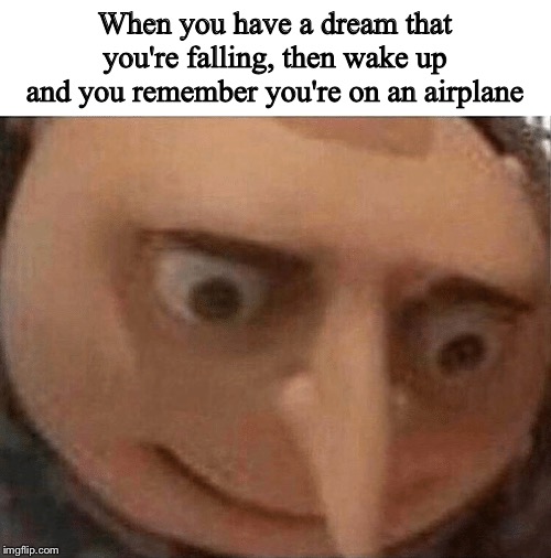 When you have a dream that you're falling, then wake up and you remember you're on an airplane | image tagged in blank white template,uh oh gru | made w/ Imgflip meme maker
