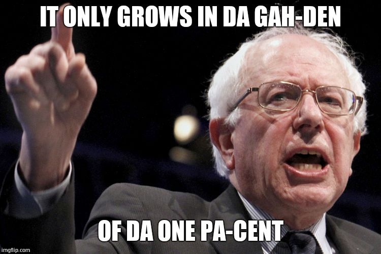 Bernie Sanders | IT ONLY GROWS IN DA GAH-DEN OF DA ONE PA-CENT | image tagged in bernie sanders | made w/ Imgflip meme maker