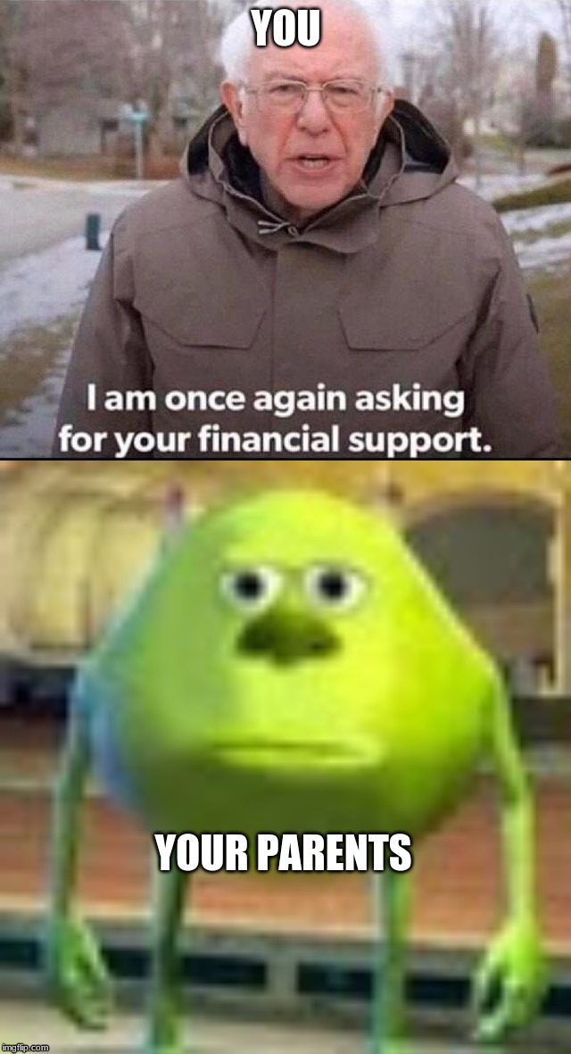 YOU; YOUR PARENTS | image tagged in sully wazowski,i am once again asking for your financial support | made w/ Imgflip meme maker