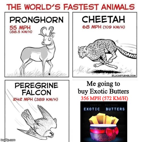 The world's fastest animals | Me going to buy Exotic Butters; 356 MPH (572 KM/H) | image tagged in the world's fastest animals,exotic butters,buy,memes | made w/ Imgflip meme maker