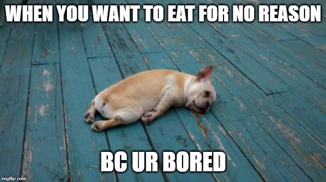 tired dog | WHEN YOU WANT TO EAT FOR NO REASON; BC UR BORED | image tagged in tired dog | made w/ Imgflip meme maker