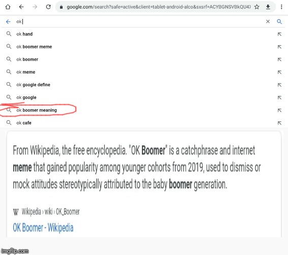 Ok boomer meaning | image tagged in google,blank white template,meaning,memes,ok boomer,meme | made w/ Imgflip meme maker