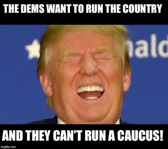 Trump laughing | THE DEMS WANT TO RUN THE COUNTRY; AND THEY CAN’T RUN A CAUCUS! | image tagged in trump laughing | made w/ Imgflip meme maker