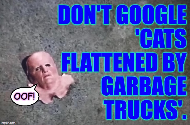 This has been a public service announcement  ( : | DON'T GOOGLE
'CATS
FLATTENED BY
GARBAGE
TRUCKS'. OOF! | image tagged in memes,malicious advice mask,don't do it | made w/ Imgflip meme maker