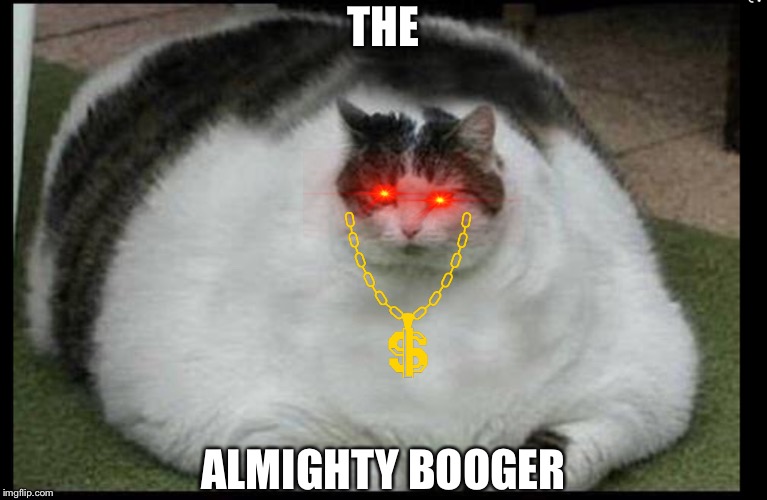 THE; ALMIGHTY BOOGER | image tagged in lolcats | made w/ Imgflip meme maker