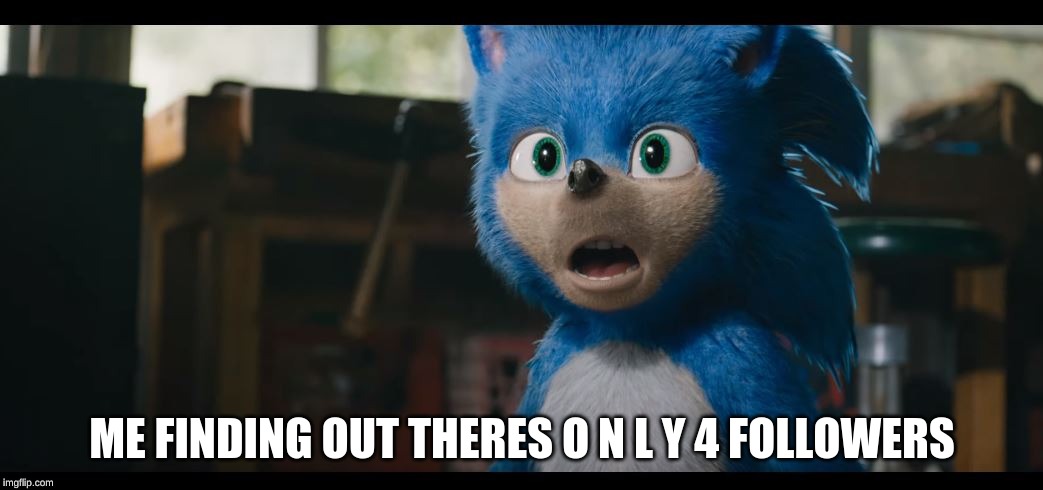 surprised sonic | ME FINDING OUT THERES O N L Y 4 FOLLOWERS | image tagged in surprised sonic | made w/ Imgflip meme maker