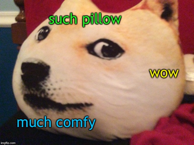 I actually own this- | such pillow; wow; much comfy | image tagged in doge,pillow | made w/ Imgflip meme maker